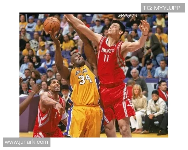 姚明加点推荐：探索篮球巨星的成长之路与成功秘诀