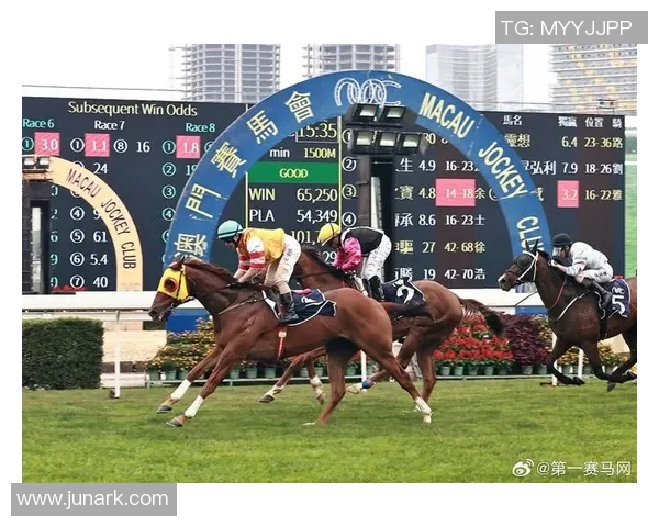 飞盘节奏全解析从入门到精通的全面指南与技巧分享