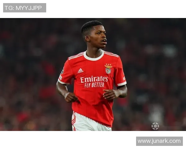 德甲激战热刺绝杀本菲卡全场沸腾争议判罚引发热议 德甲激战热刺绝杀本菲卡全场沸腾争议判罚引发热议